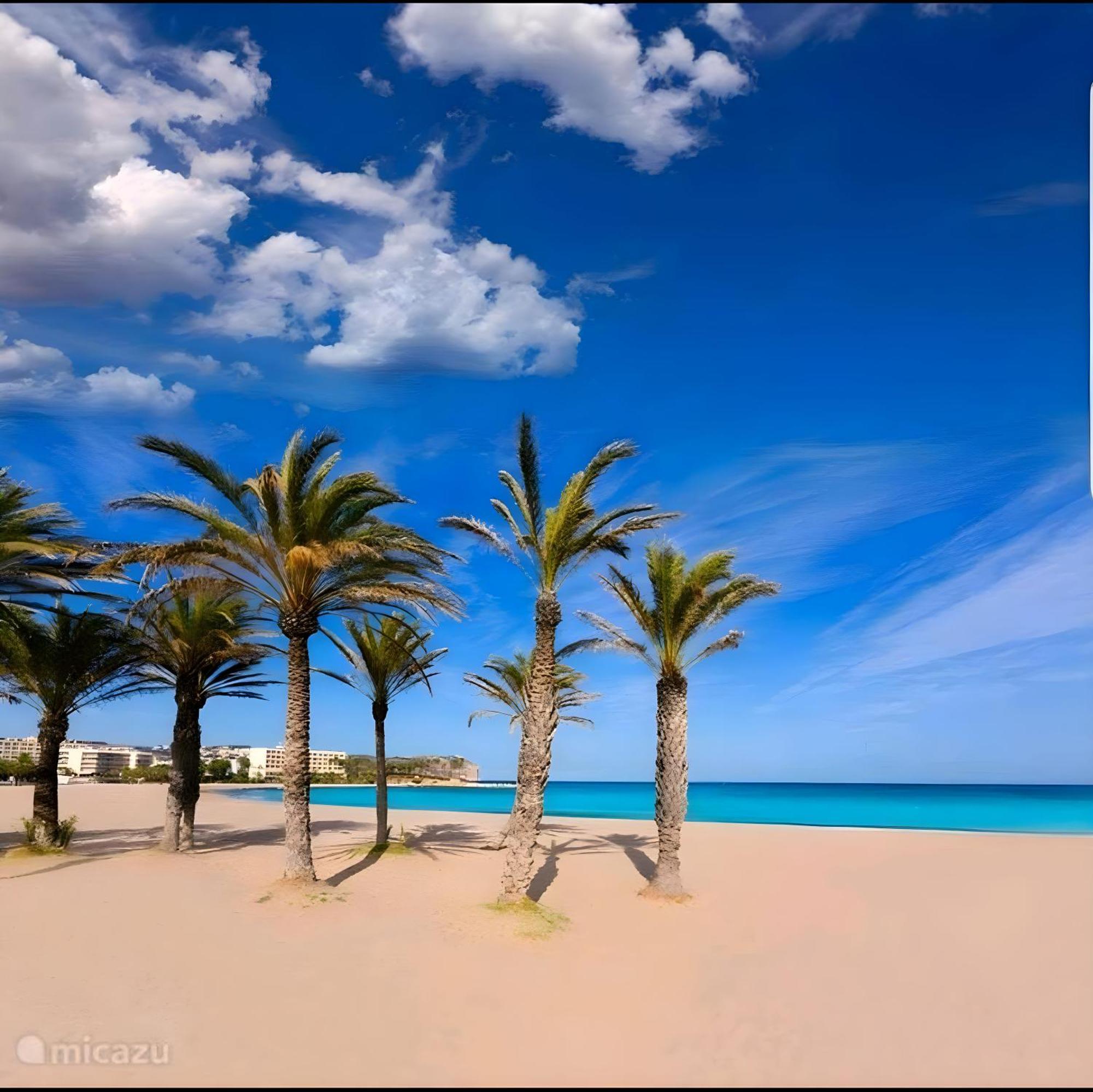La Isla Y El Mar Platja de Larenal